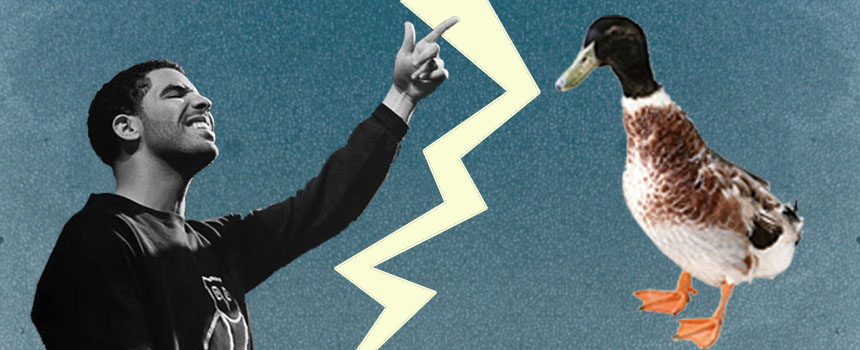 THE NAMING CHOICE – REVISITED