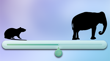 WHAT SHOULD WE KNOW ABOUT THE FIELD OF VIEW IN 3D SCANNERS?